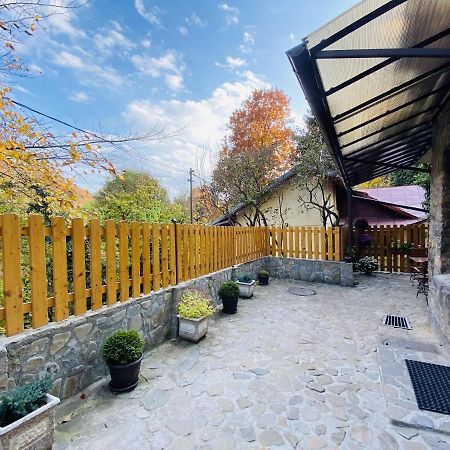 Apartment Carol Private Yard With Barbeque And Parking سِنايا المظهر الخارجي الصورة