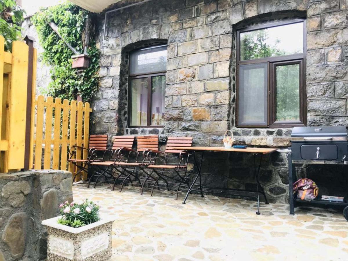 Apartment Carol Private Yard With Barbeque And Parking سِنايا المظهر الخارجي الصورة