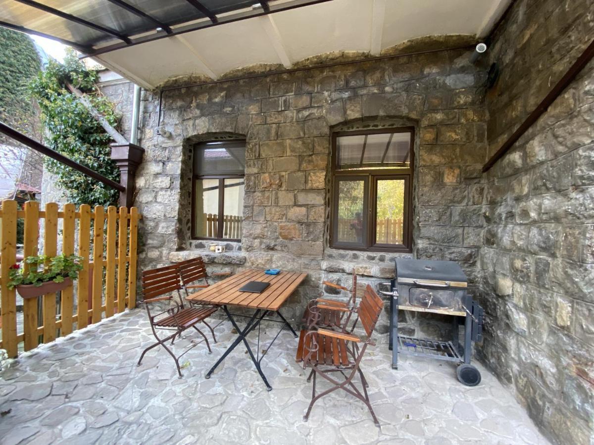 Apartment Carol Private Yard With Barbeque And Parking سِنايا المظهر الخارجي الصورة