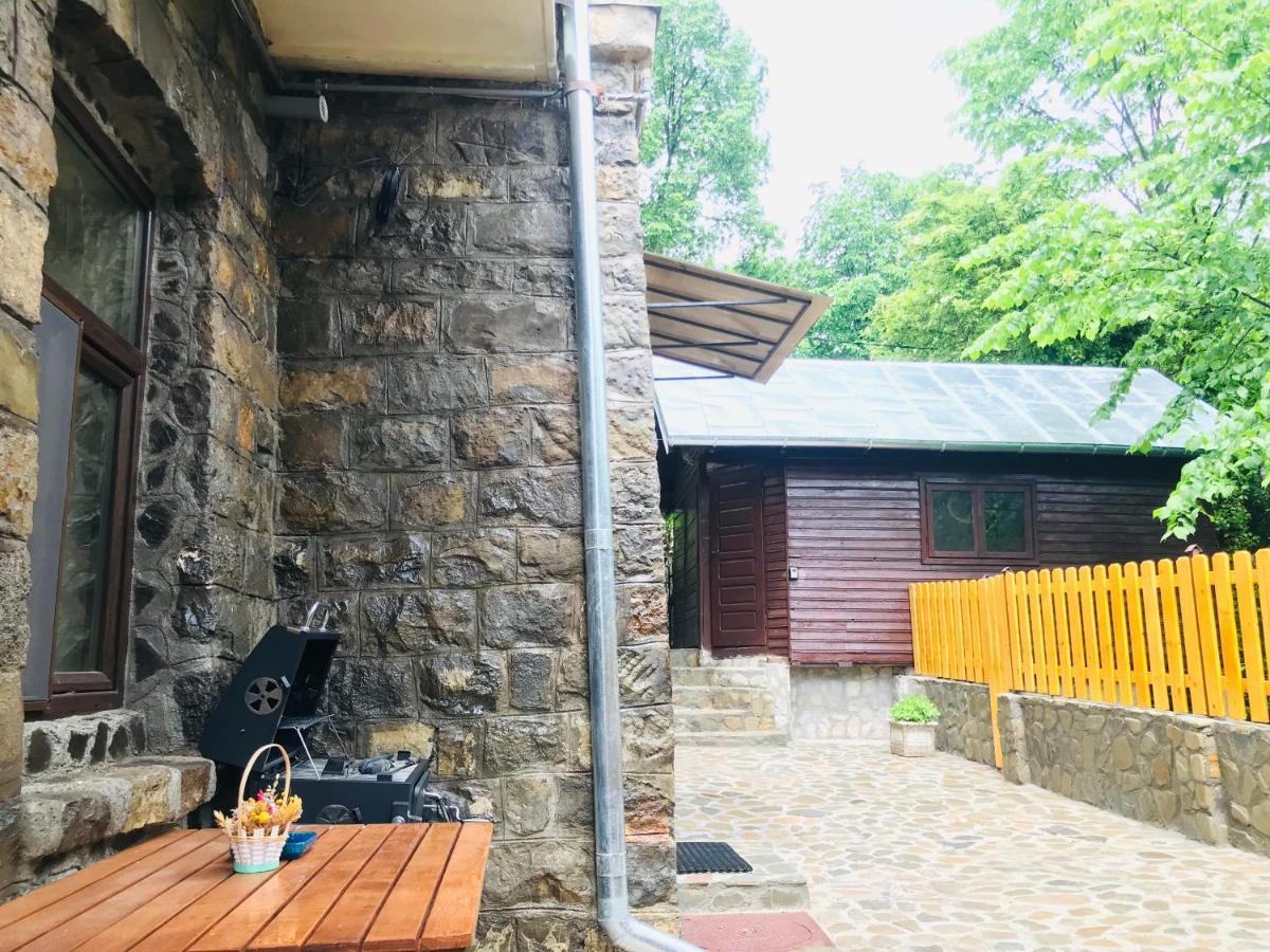 Apartment Carol Private Yard With Barbeque And Parking سِنايا المظهر الخارجي الصورة